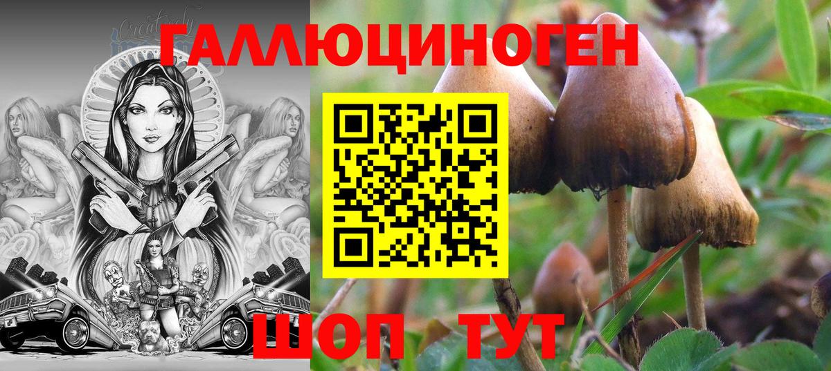 Галлюциногенные грибы GOLDEN TEACHER Полысаево